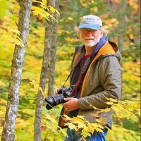 Picture of Ralph Nordstrom