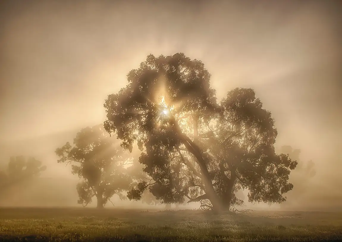 Benalla victoria australia
