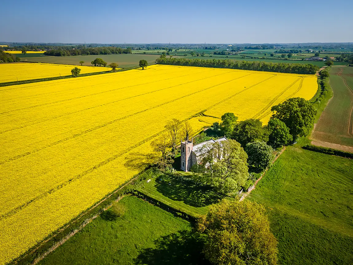Church and rapeseed fields, kimberley, norfolk, england