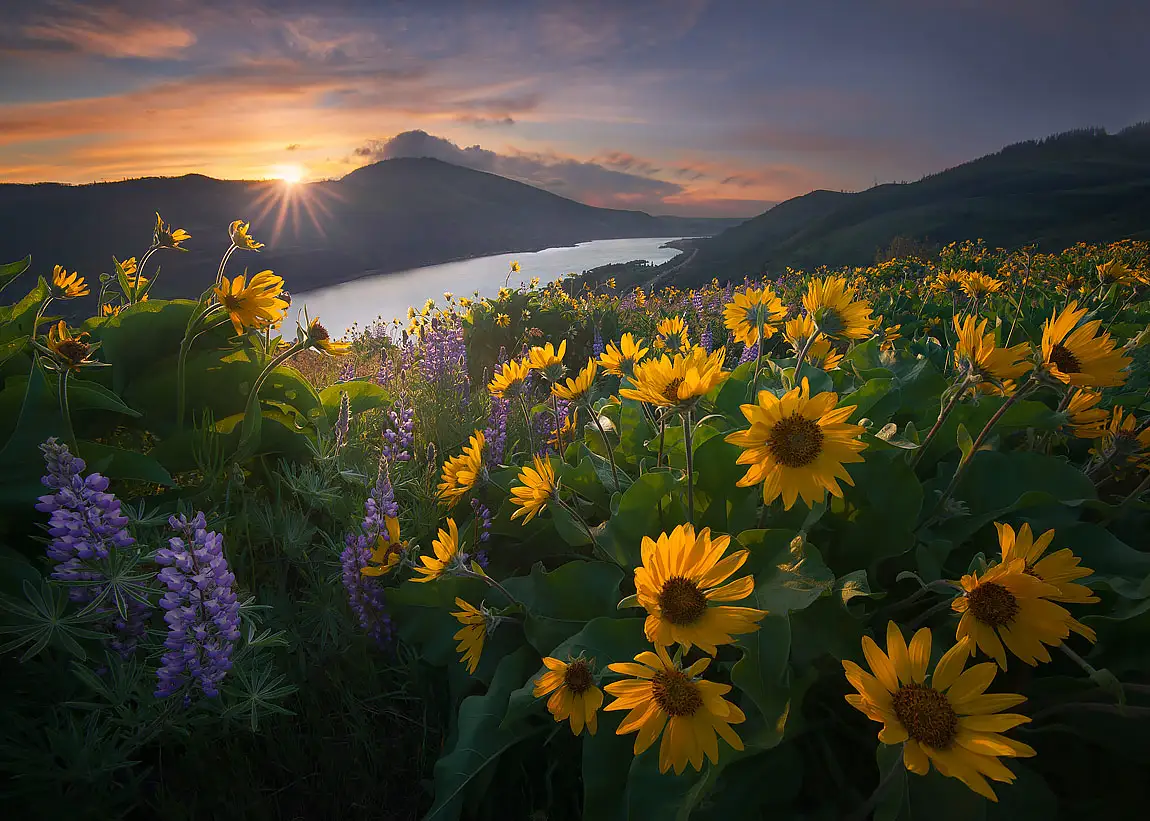 Columbia river gorge oregon usa