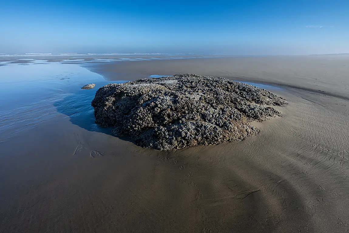 Early morning coastal solitude, yachats, oregon, usa