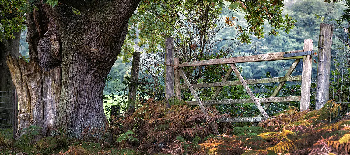 Five bar gate, hatch park, ashford, kent, england