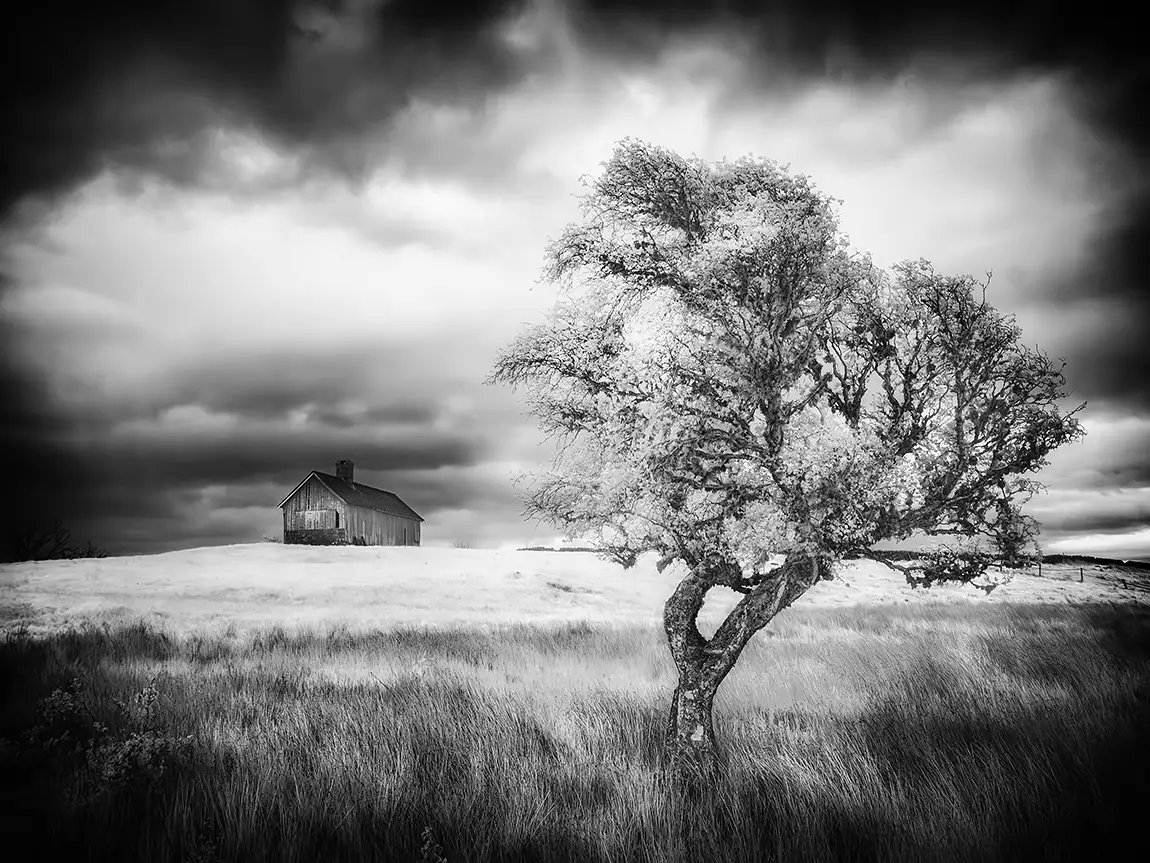 House on the hill, shinness, sutherland, scotland