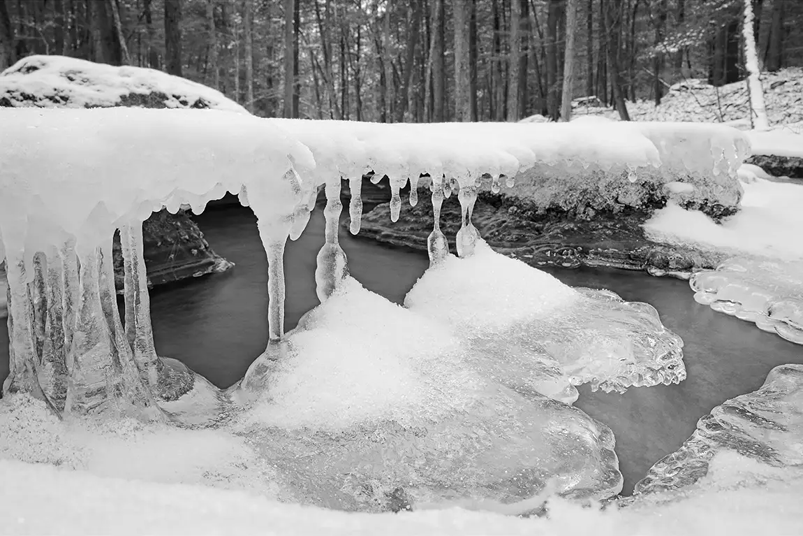 Ice bells beneath the ice, albert family community forest, east nassau, new york, usa