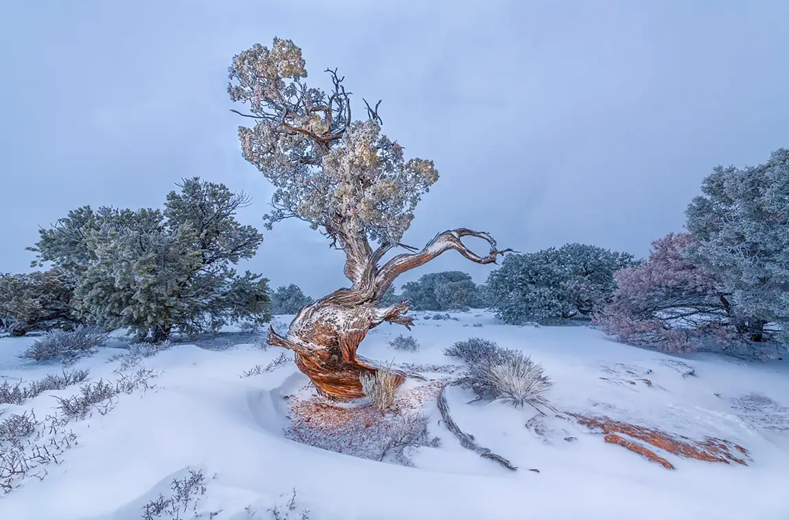 Island in the sky district canyonlands np utah usa by bruce hucko