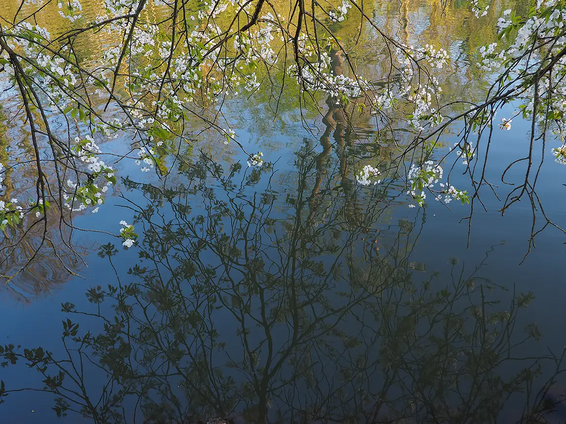 Spring reflection, schwetzingen, baden wuerttemberg, germany