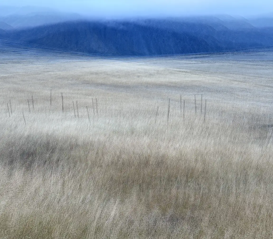 The tussocks, mt cook valley, new zealand