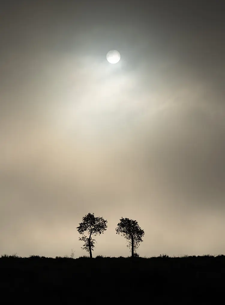 Where sun and fog play, kelly, teton county, wyoming, usa
