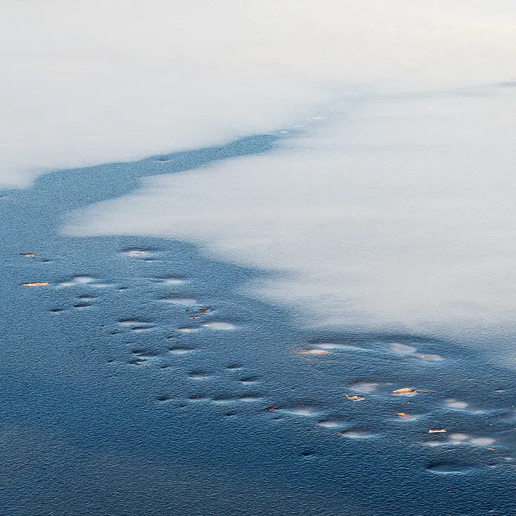 Bluish thaw line in pond, parc des etangs a charlebois, sainte julie, quebec, canada