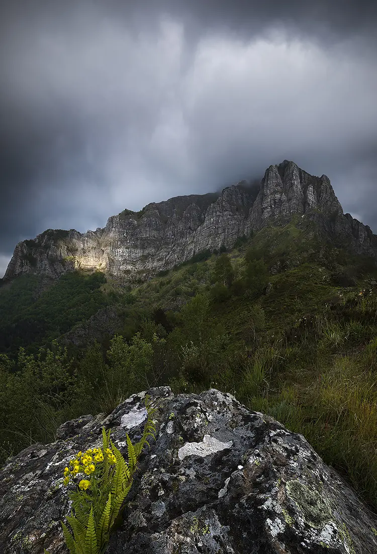 Breath of altitude, mountain corchia, passo croce, stazzema, italy