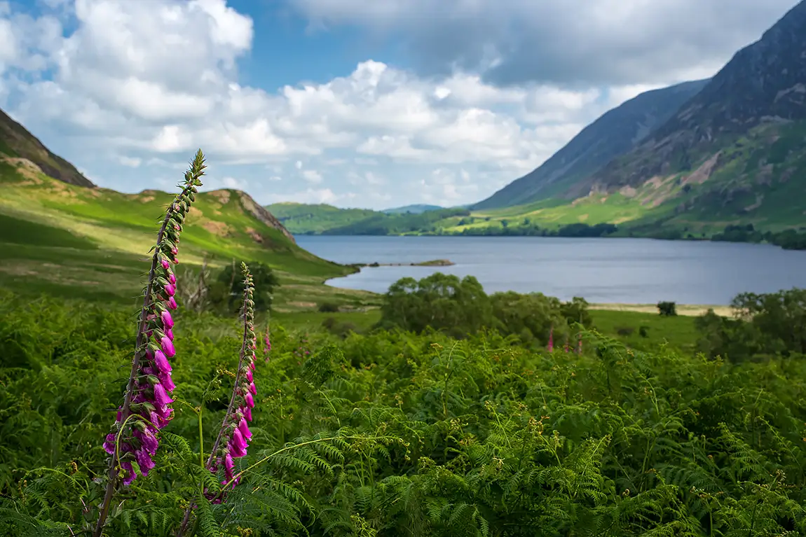 Crummock water, lake district, england