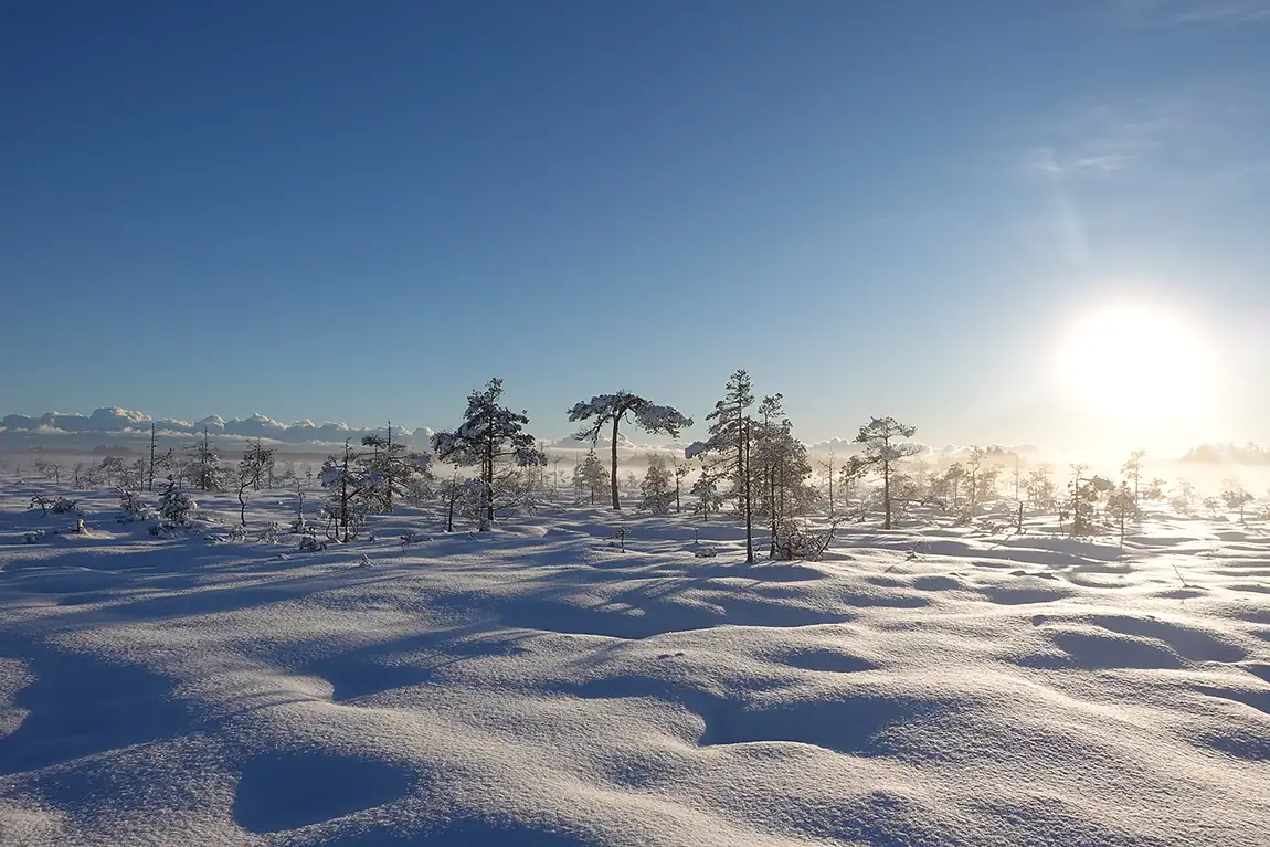 Mire landscape in the winter, valkmusa national park, pyhtaa, finland