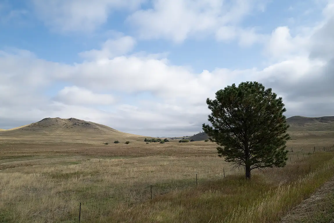 Road to red lodge, carbon county, montana, usa