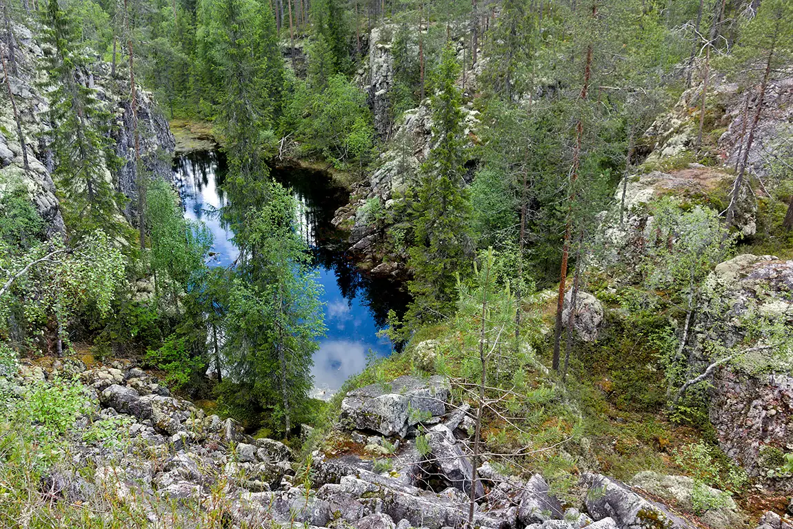 Small pond in boreal forest, hiidenportti national park, kuhmo, finland