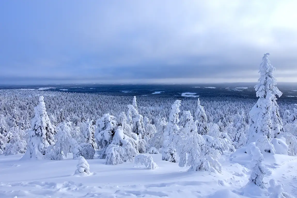 Snowy hill landscape, valtavaara hill, kuusamo, finland