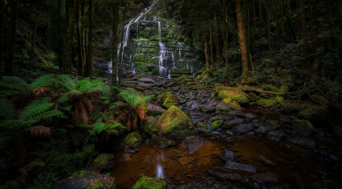 Nelson falls, franklin gordon wild rivers national park, tasmania