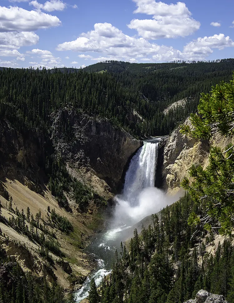 The majestic lower yellowstone falls, yellowstone national park, wyoming, usa