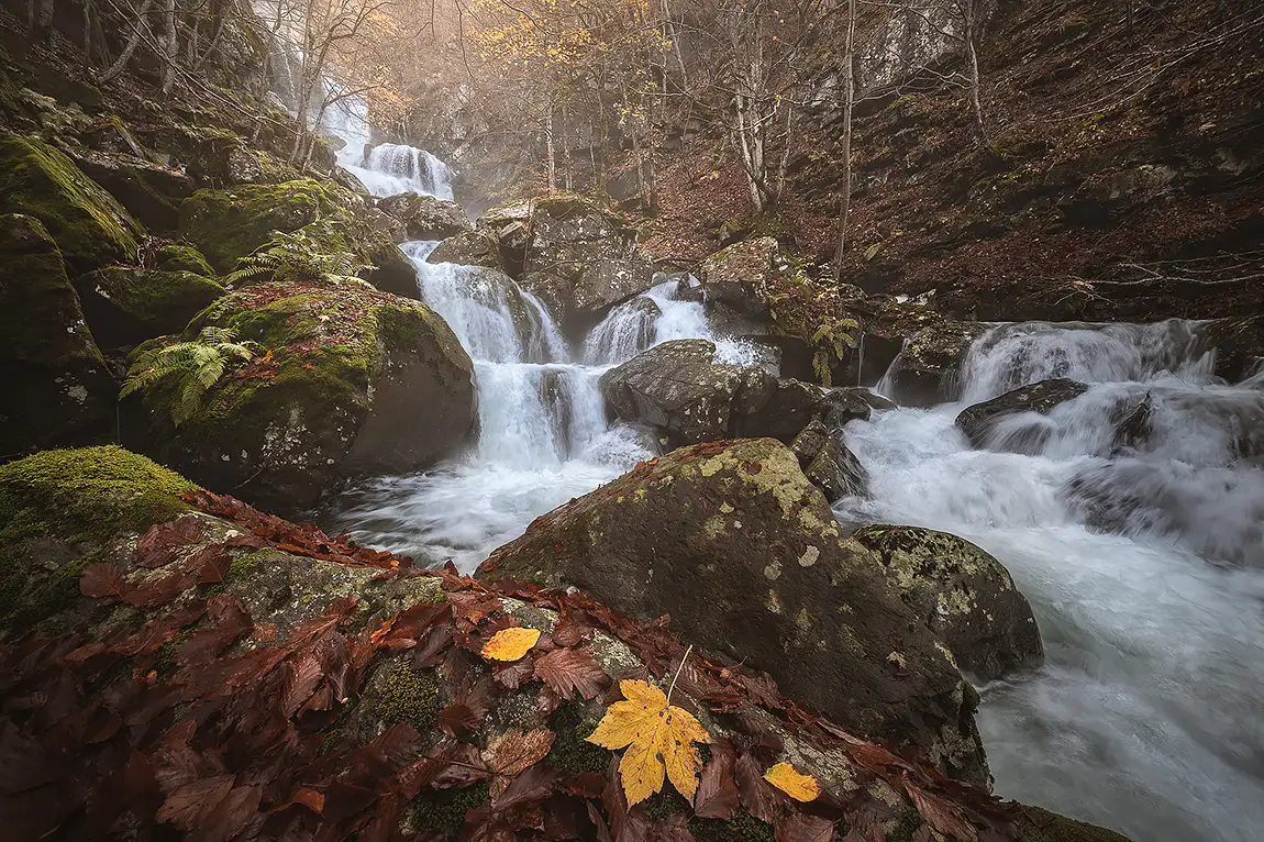 Where leaves rest, corno alle scale regional park, italy