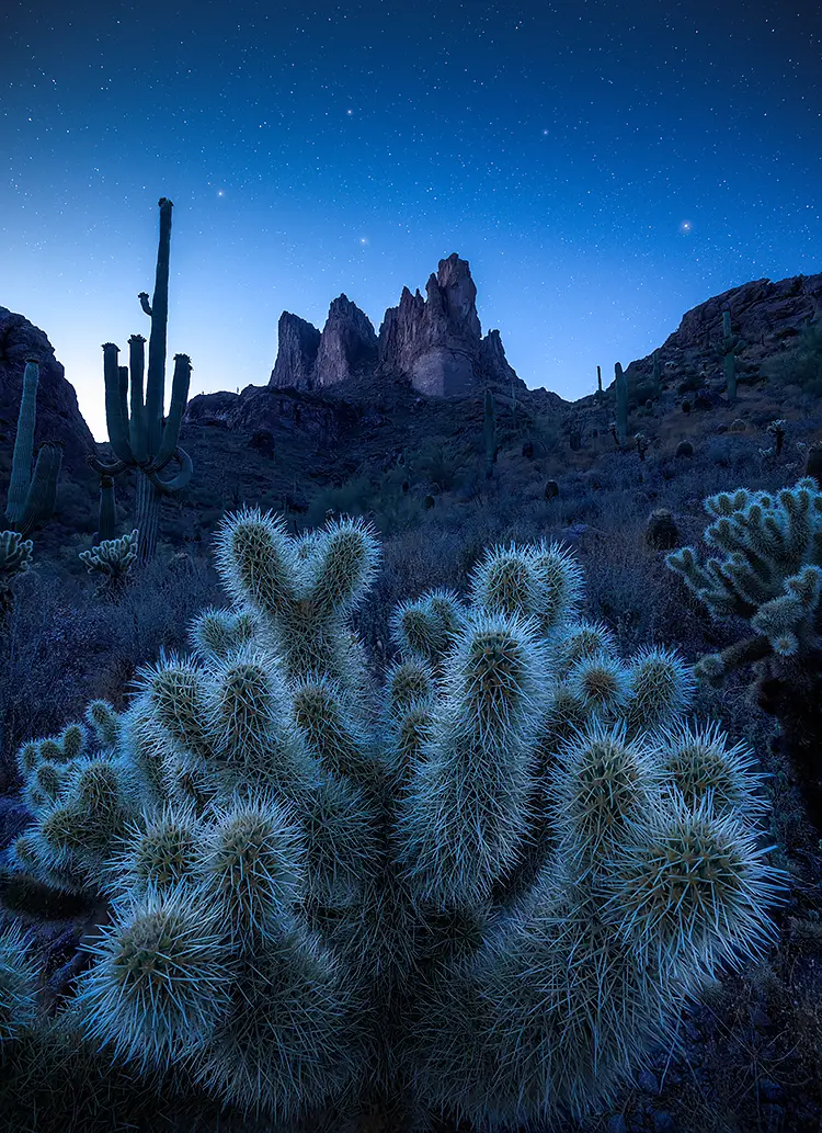 Crown of thorns, superstition mountains, arizona, usa