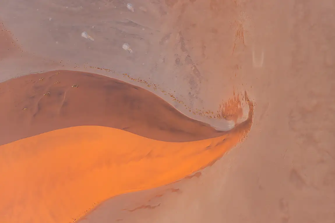 Genie of the desert, namib naukluft national park, namibia