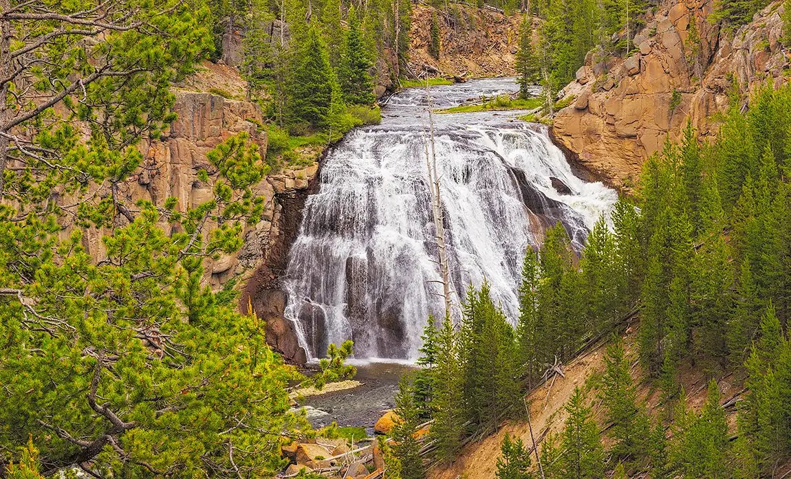 Gibbin falls, yellowstone national park, wyoming, usa