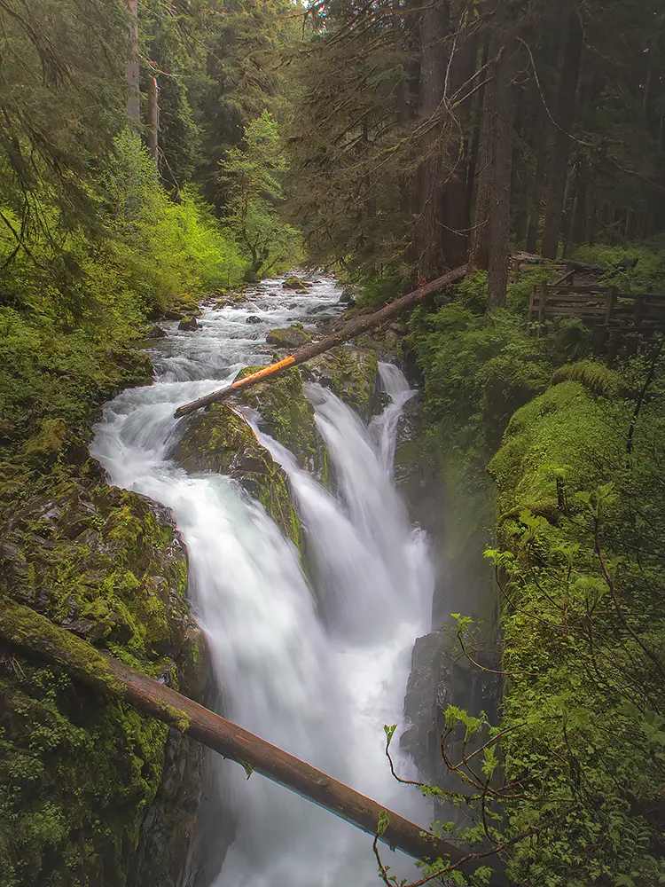 Hanging on the edge, olympic national park, washington, usa