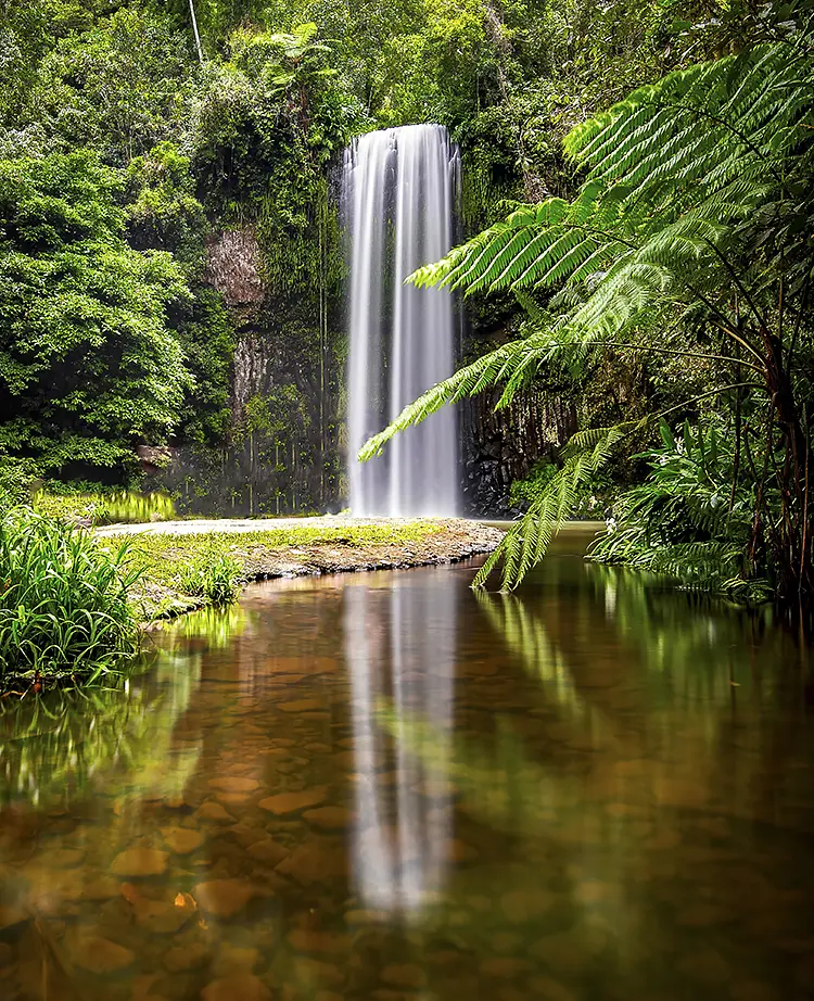 Millaa millaa falls, far north queensland, australia