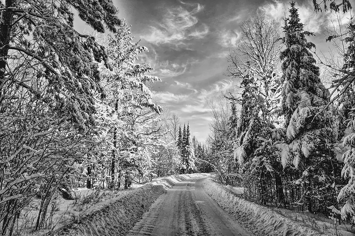 Old snowy road, remer, mn, usa