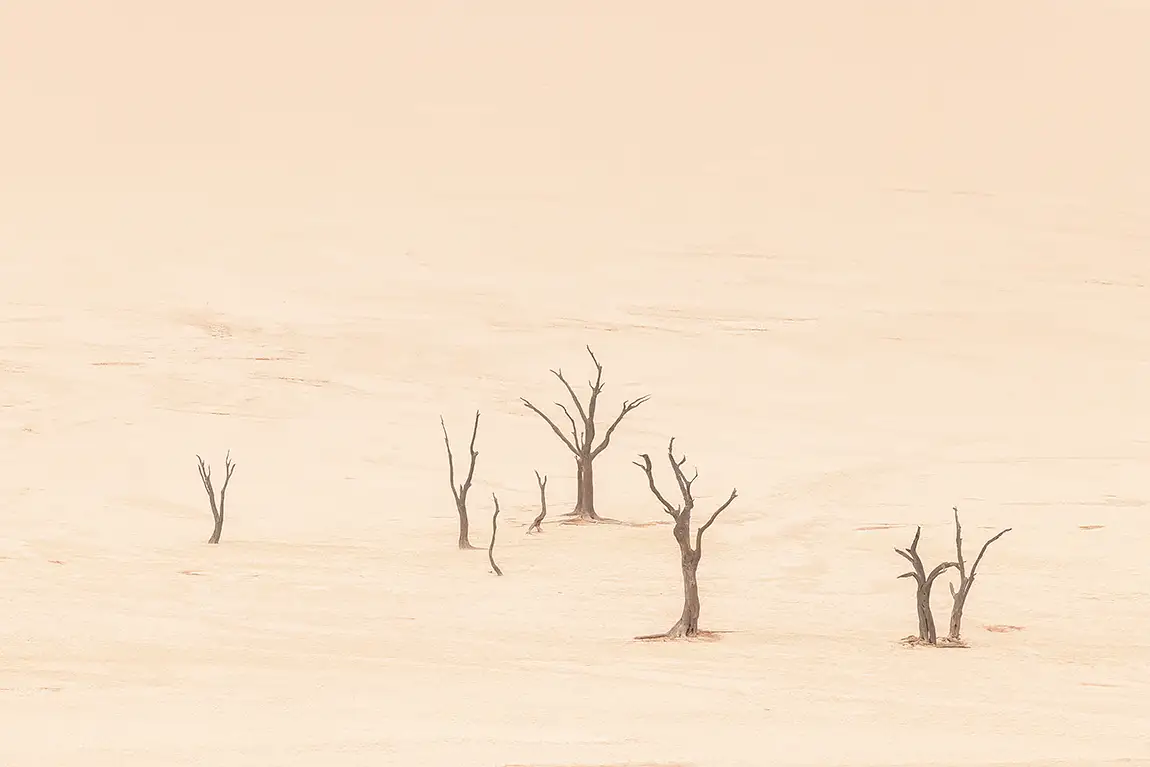 Preserved in isolation, namib naukluft national park, namibia