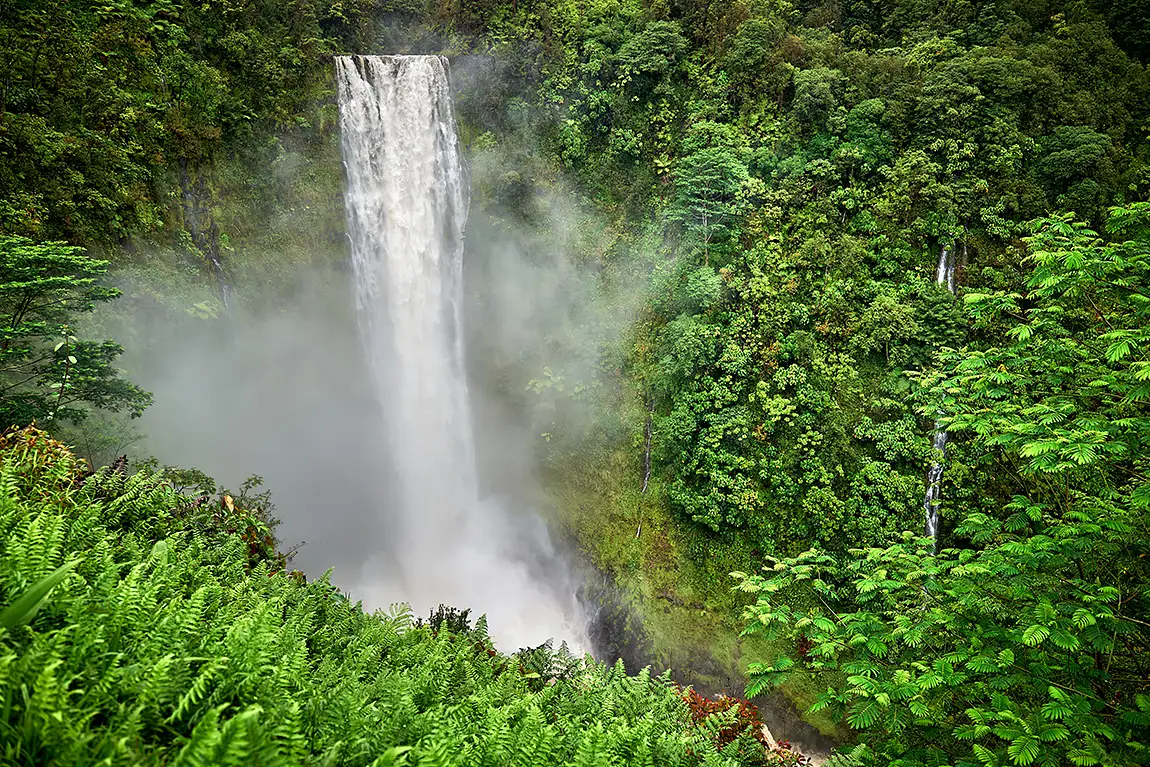 Raging akaka falls, akaka falls state park, honomu, hawaii, usa