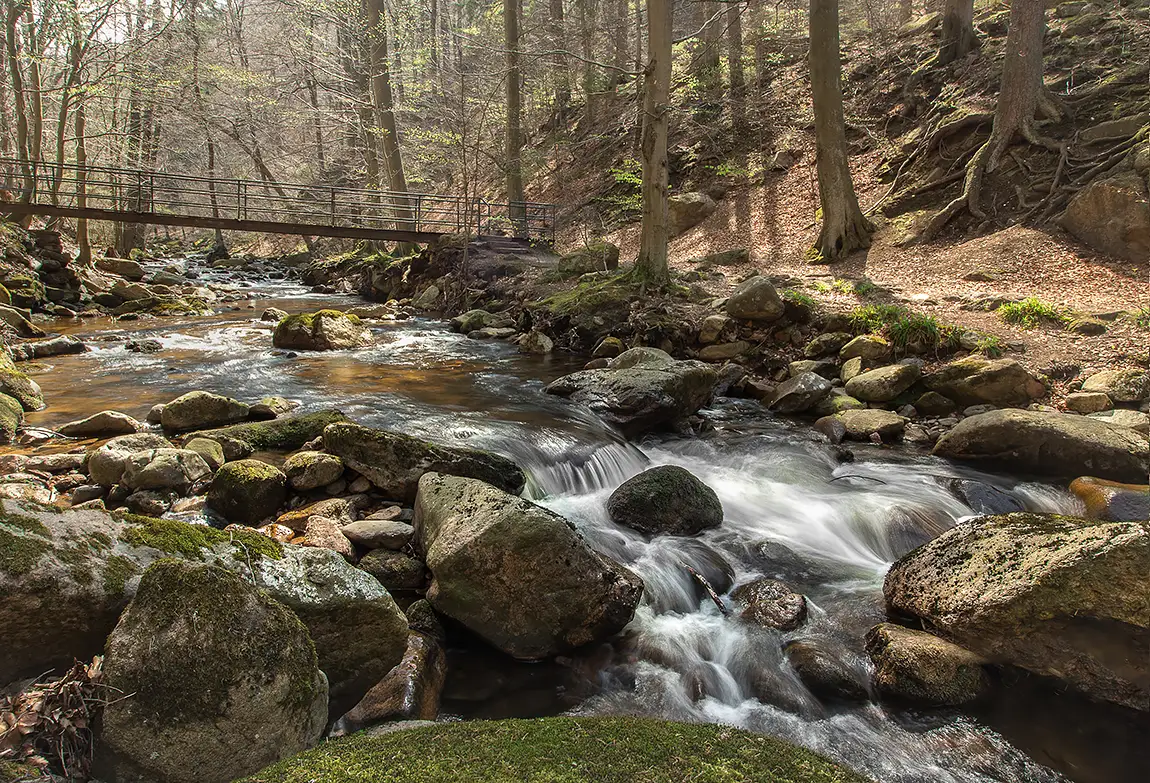 Spring in the ilseral, harz region, germany