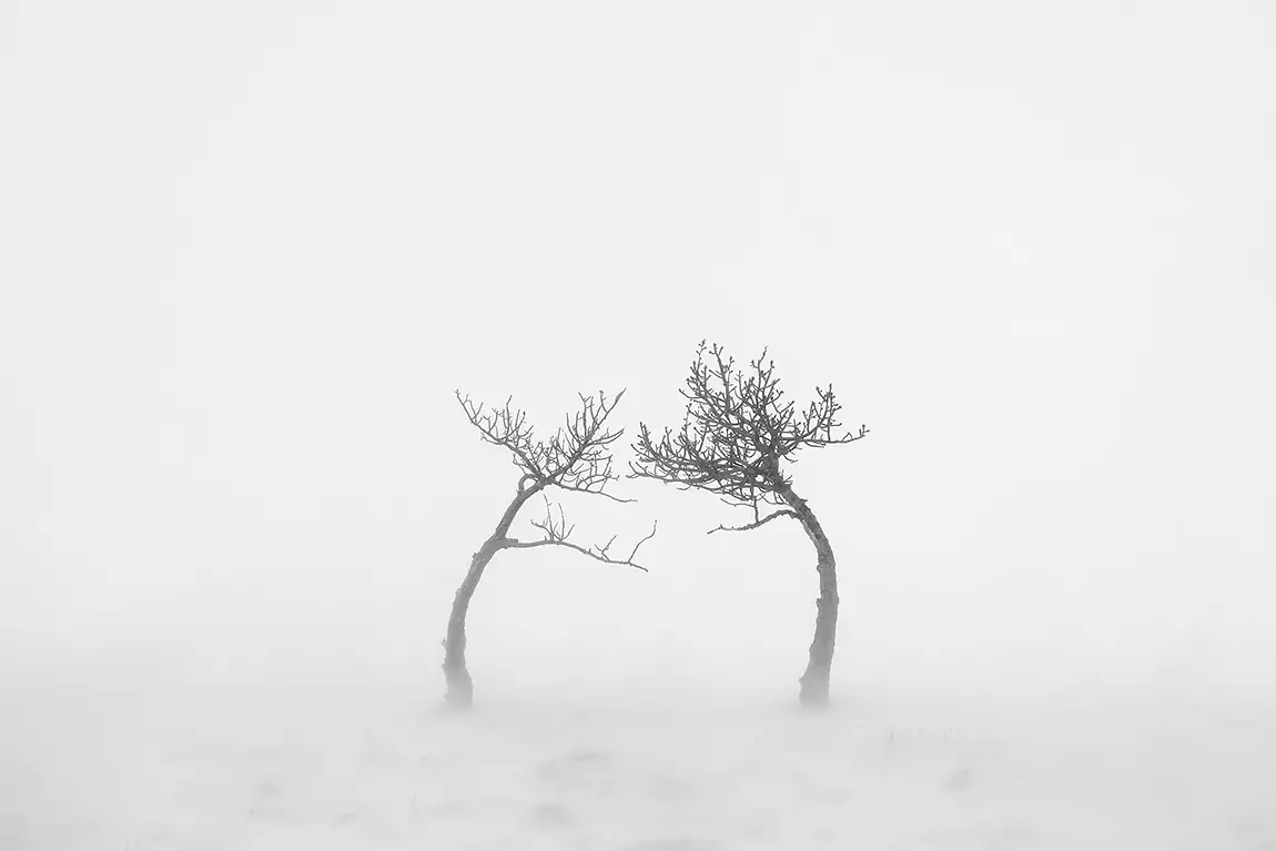 The rorschach test, kluane national park, yukon, canada