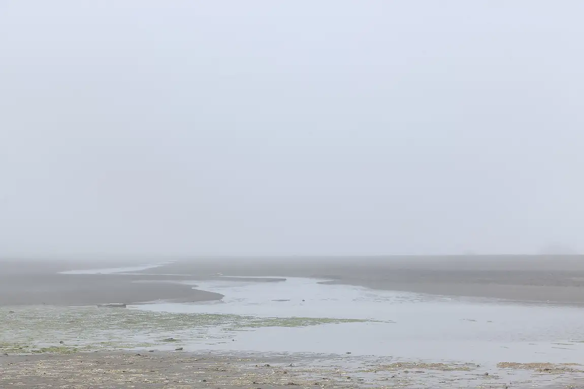 A foggy beach along the oregon coast, usa
