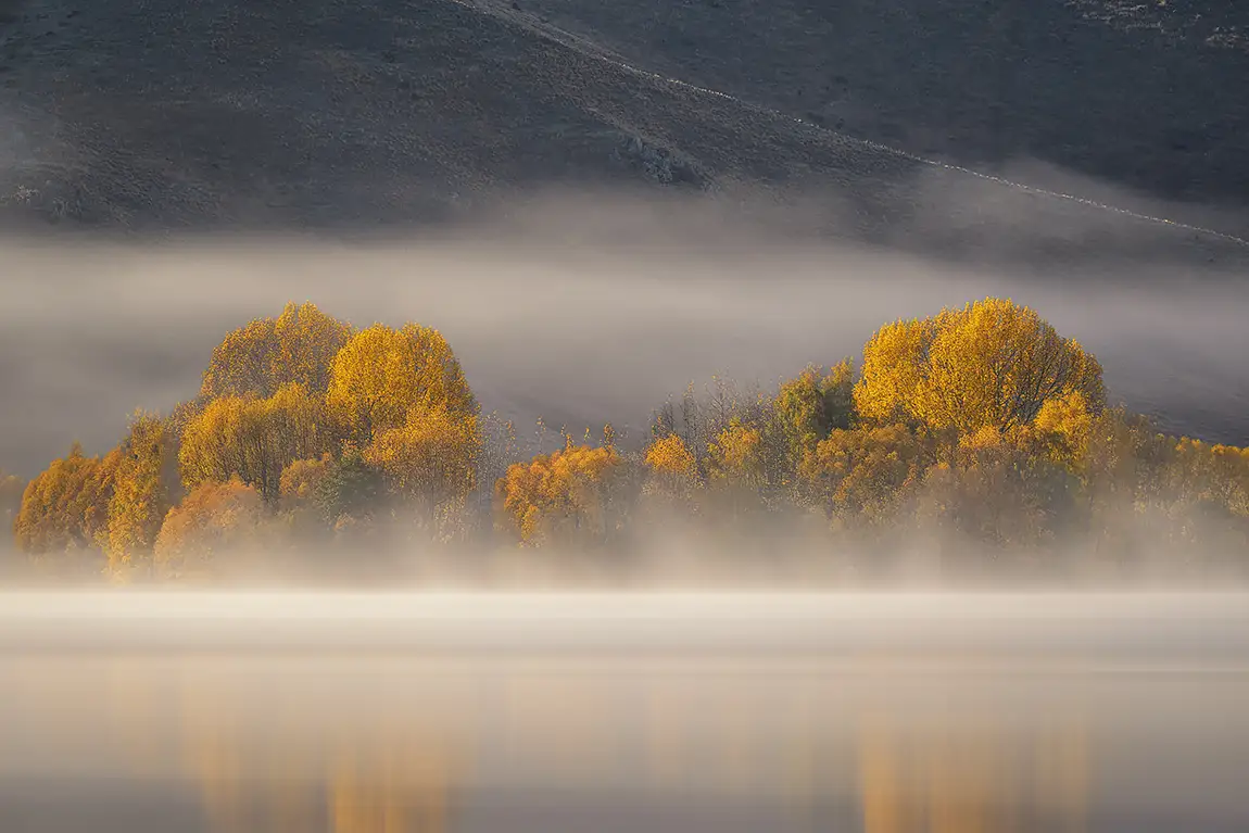 Autumn morning mist, wairepo arm, lake ruataniwha, mackenzie, new zealand