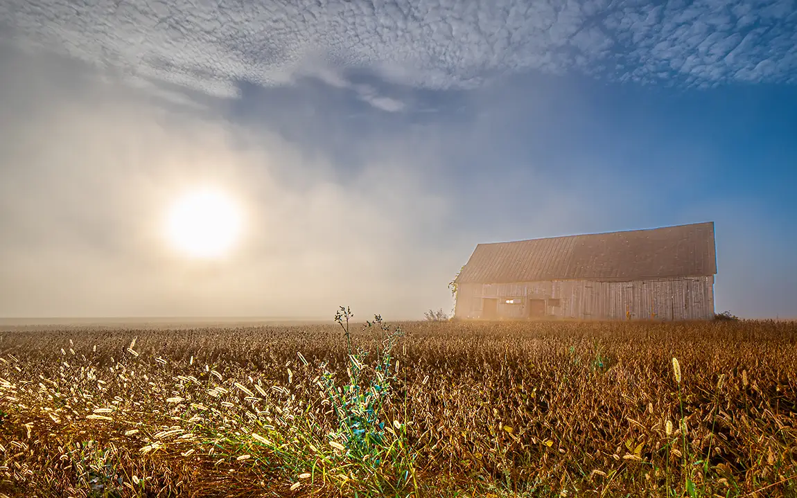 Barn in fog, st hilarion, charlevoix, quebec, canada