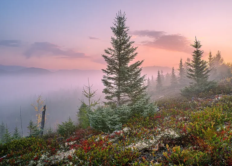Foggy la galette, charlevoix, quebec, canada