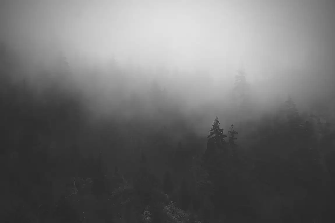 Form and void, great smokey mountains, nc:tennessee border, usa