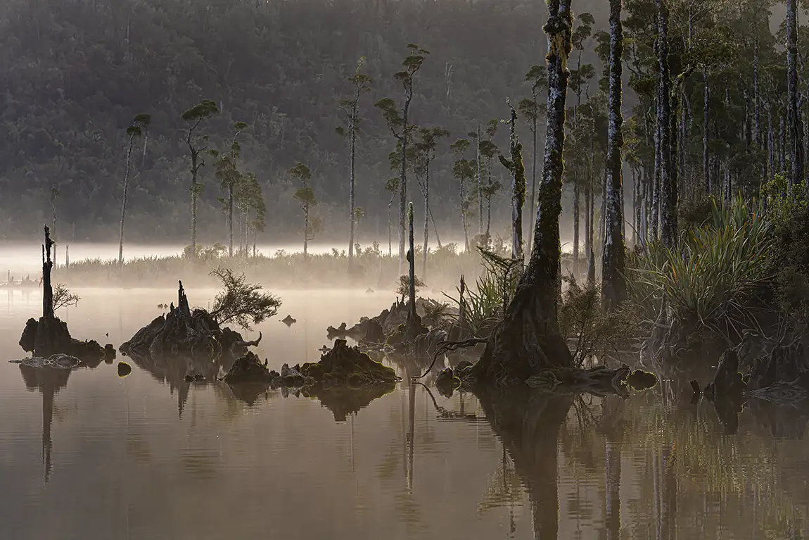 Misty lake wahapo, westland tai poutini national park, new zealand