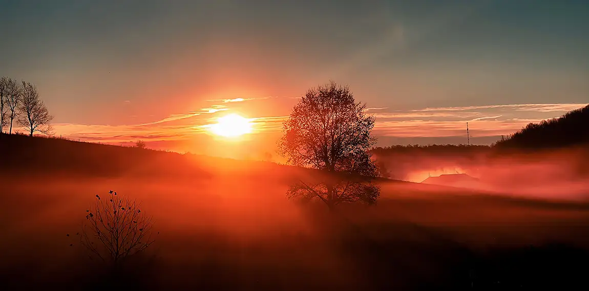 Misty morning sunrise, fayette county, pennsylvania, usa