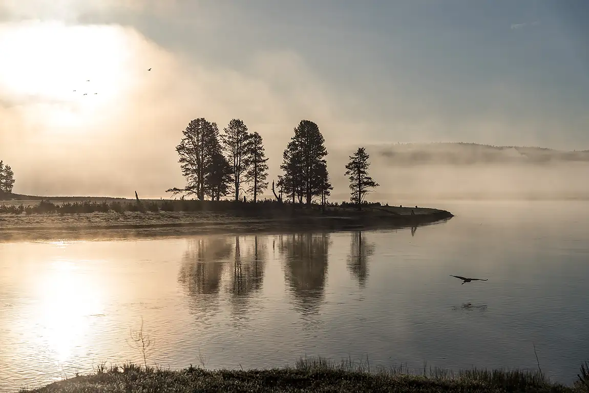 Misty yellowstone river, wyoming, usa