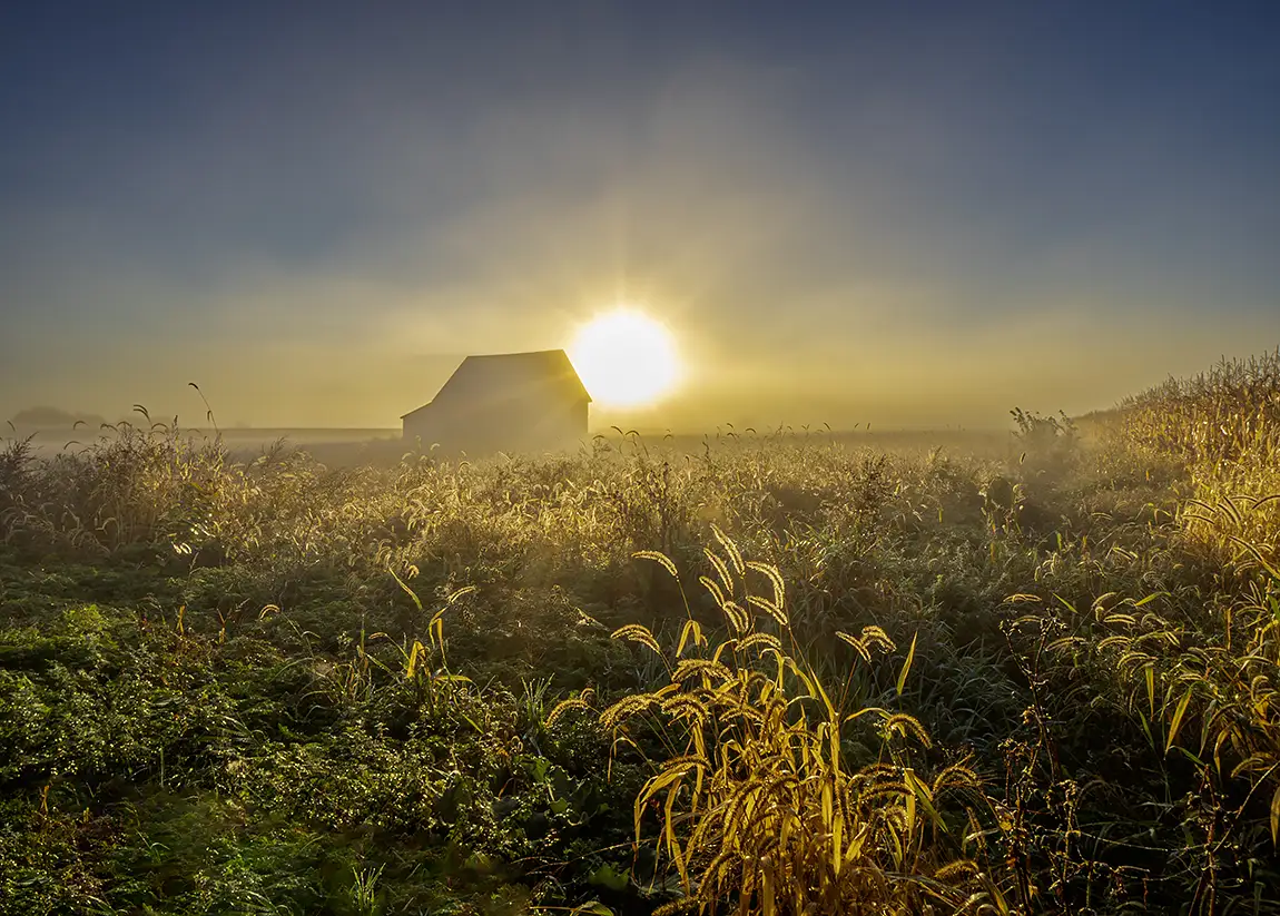 Morning fog, st hilarion, charlevoix, quebec, canada