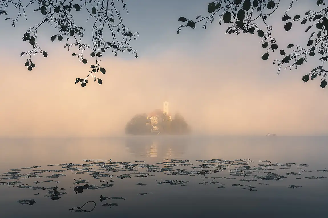 Pure morning, lake bled, bled, slovenia