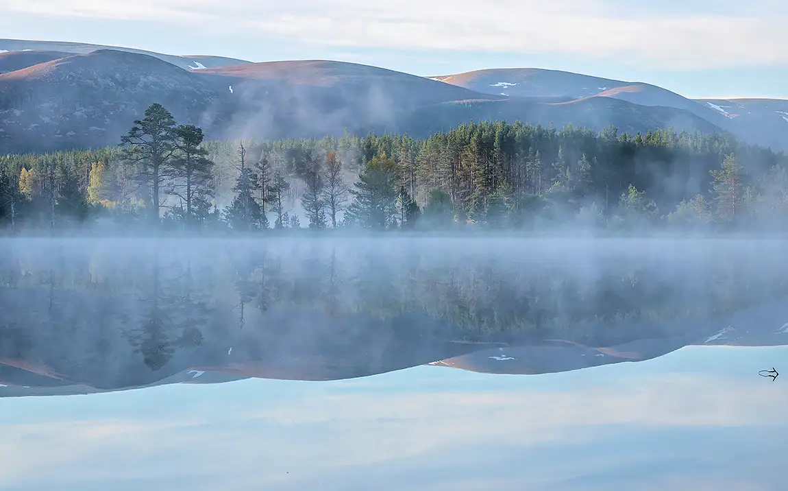 Uath lochans at dawn, inshriach forest, scotland