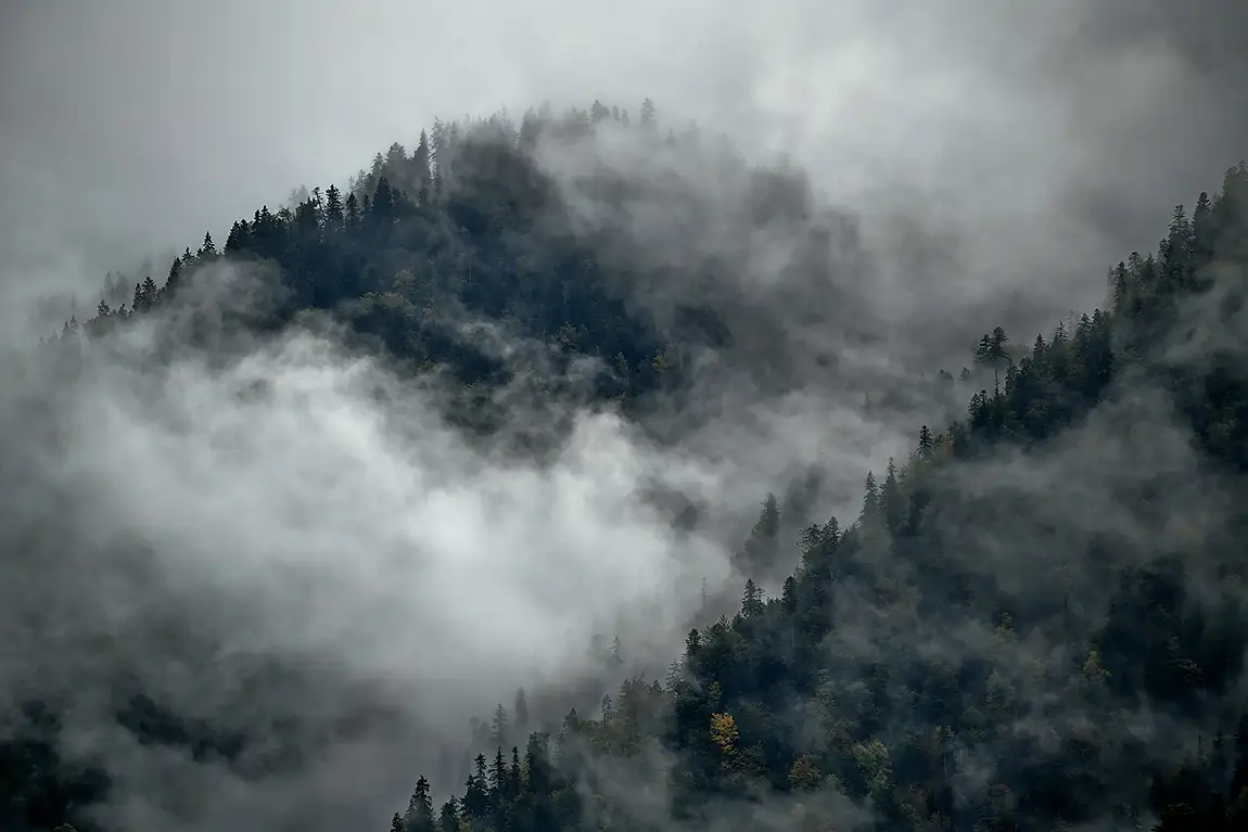 Bavarian alps fog, lake walchensee, bavaria, germany