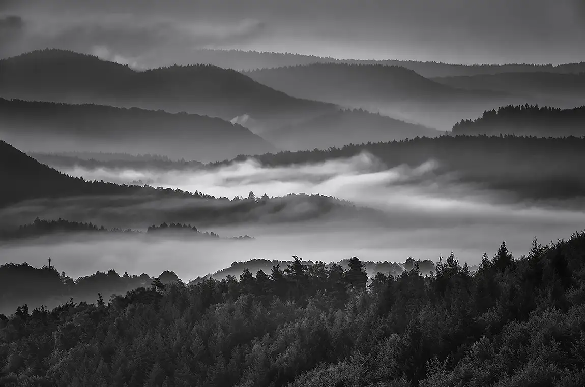 Between day and dream, palatinate forest, rhineland palatina, germany