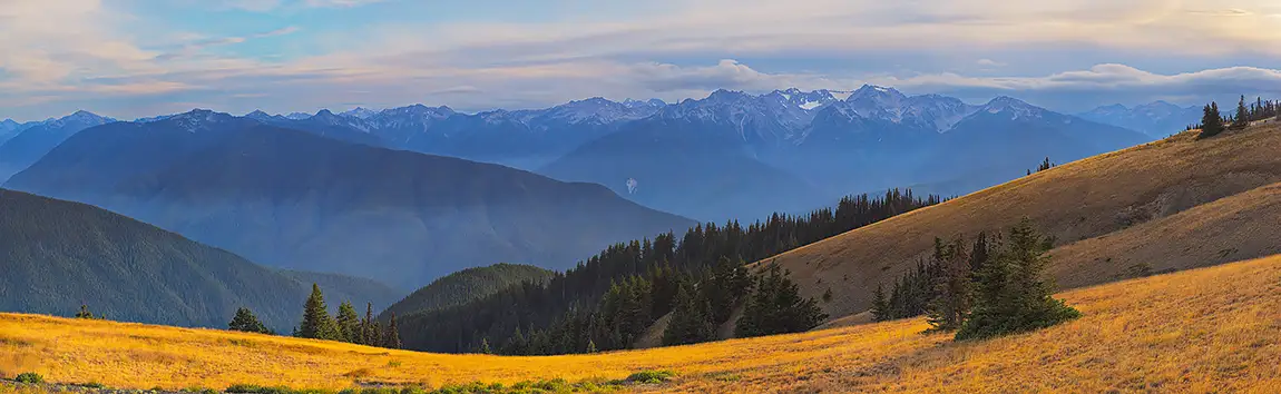 Hurricane ridge sunset, olympic national park, washington, usa