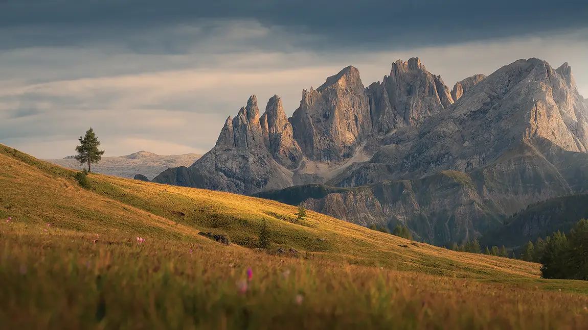 Lonely tree, fuchiade, soraga di fassa, italy