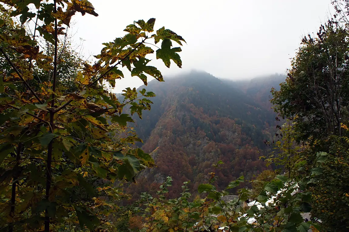 Misty rimella, valsesia, vercelli, italy