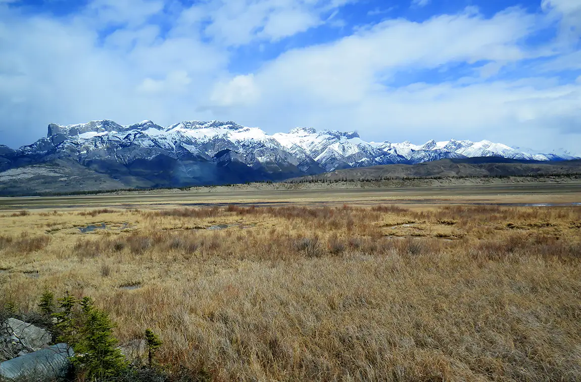 Passing peaks and prairies by train, near jasper, alberta, canada