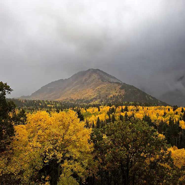 Shrouded in clouds, alpine loop, utah county, utah, usa